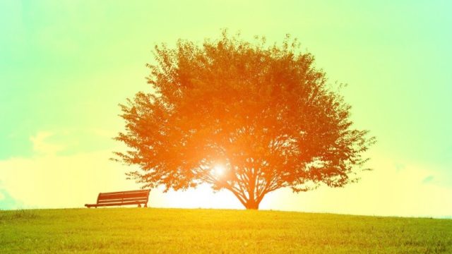 やめる勇気がない人の詭弁の言葉「継続は力」